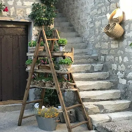 Casa Regino